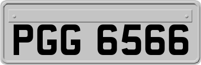 PGG6566