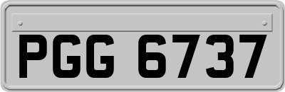 PGG6737