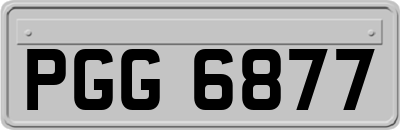 PGG6877
