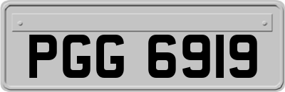 PGG6919