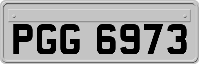 PGG6973