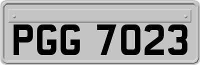 PGG7023
