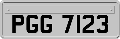 PGG7123