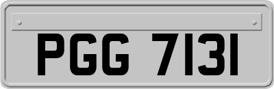 PGG7131