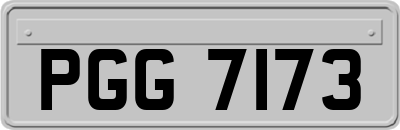 PGG7173
