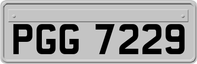 PGG7229