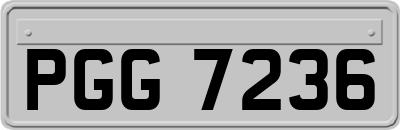 PGG7236