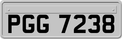 PGG7238