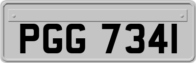PGG7341