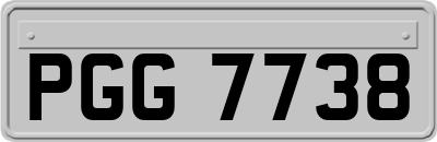PGG7738