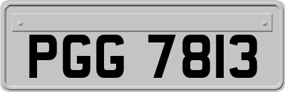 PGG7813