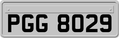 PGG8029