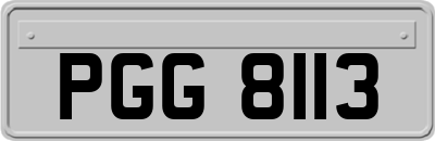 PGG8113