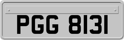 PGG8131