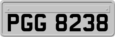 PGG8238