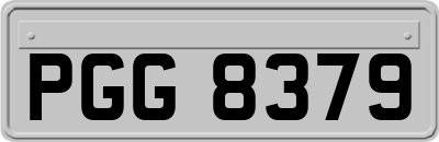 PGG8379