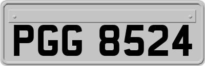 PGG8524
