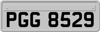 PGG8529