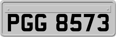 PGG8573