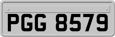 PGG8579