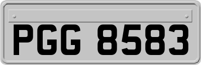 PGG8583