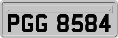 PGG8584