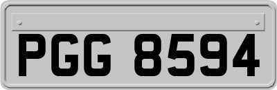 PGG8594