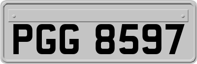 PGG8597