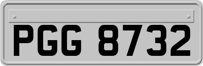 PGG8732