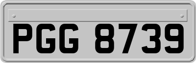 PGG8739