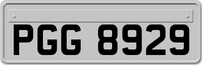 PGG8929