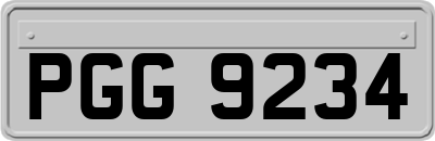 PGG9234