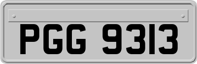 PGG9313