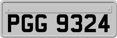 PGG9324