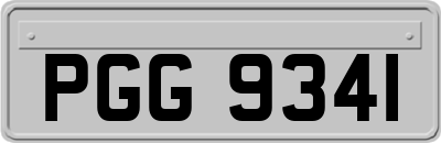 PGG9341