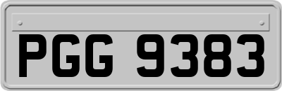 PGG9383