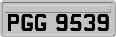 PGG9539