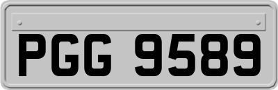PGG9589