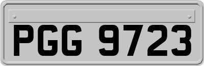 PGG9723