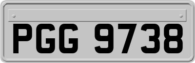 PGG9738