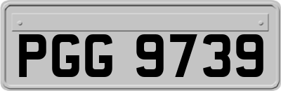 PGG9739