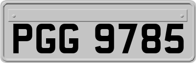 PGG9785