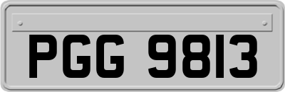 PGG9813