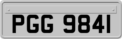 PGG9841