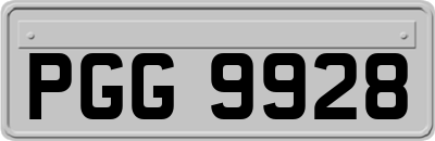PGG9928