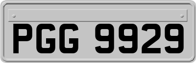 PGG9929