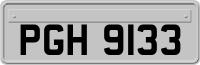 PGH9133