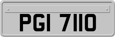 PGI7110