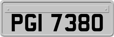 PGI7380