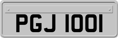 PGJ1001